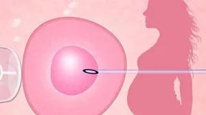 案例